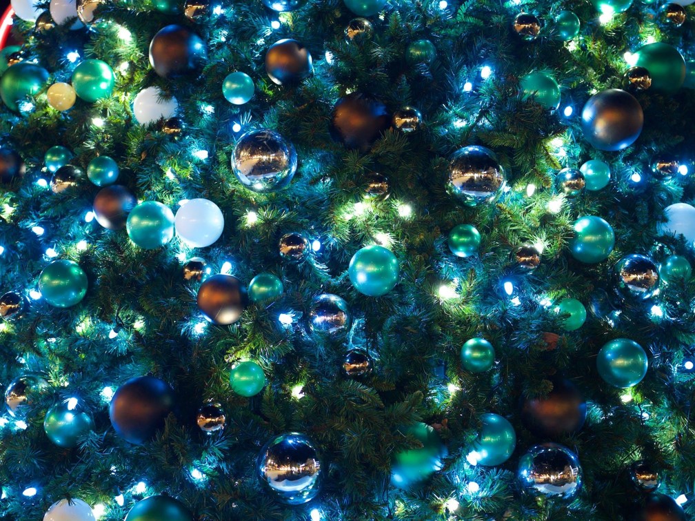 The Magic of a Christmas Tree with Lights